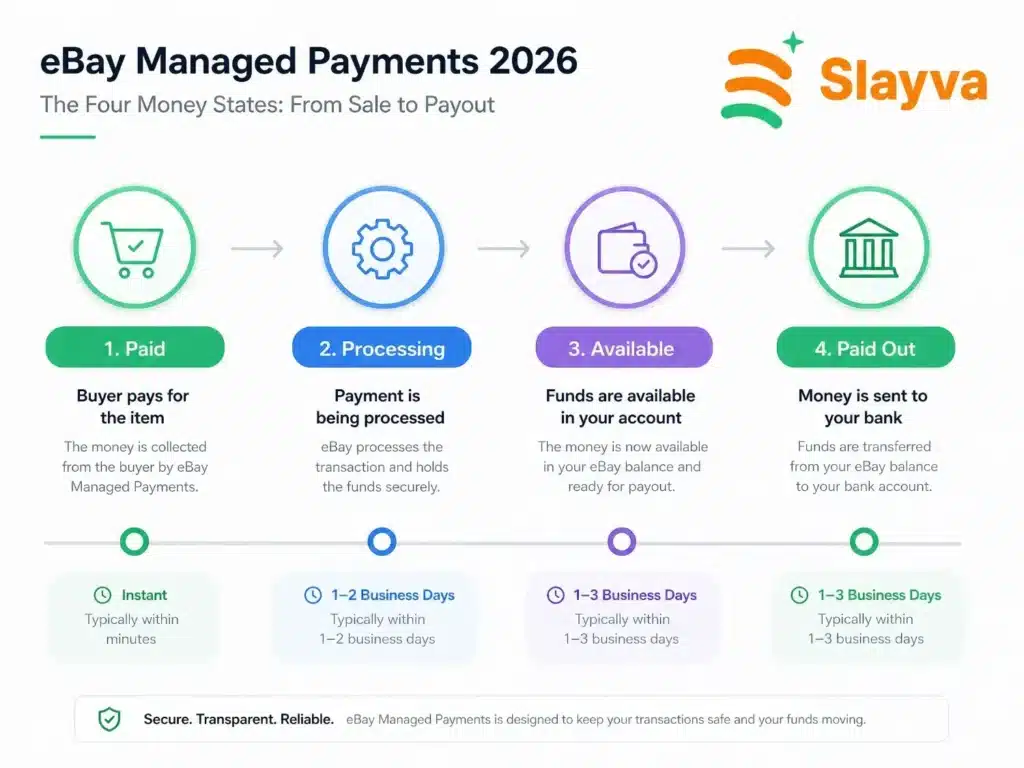 eBay managed payments 2026 payout timeline showing paid, processing, available, and paid out stages
