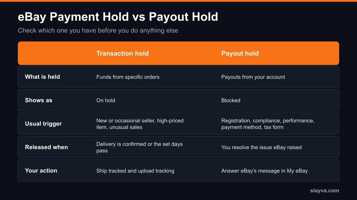 eBay payment hold vs eBay payout on hold: what is held, how it shows, what triggers it and what releases it